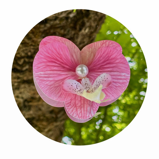 Lumina orchid